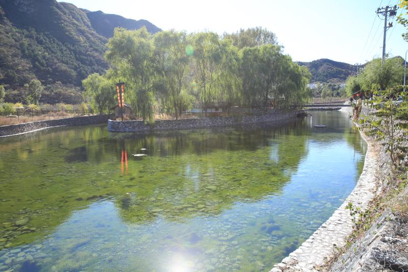 水利工程项目-2